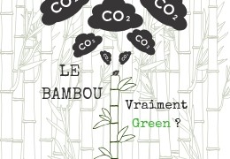 Le bambou, un matériau vraiment écologique ?